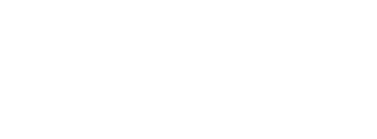 baker services logo upscaled white